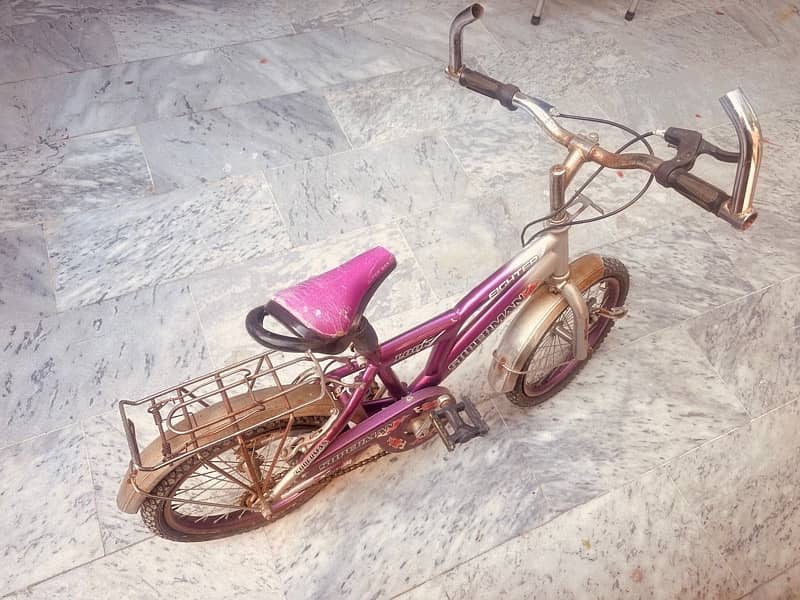 kid cycle 2