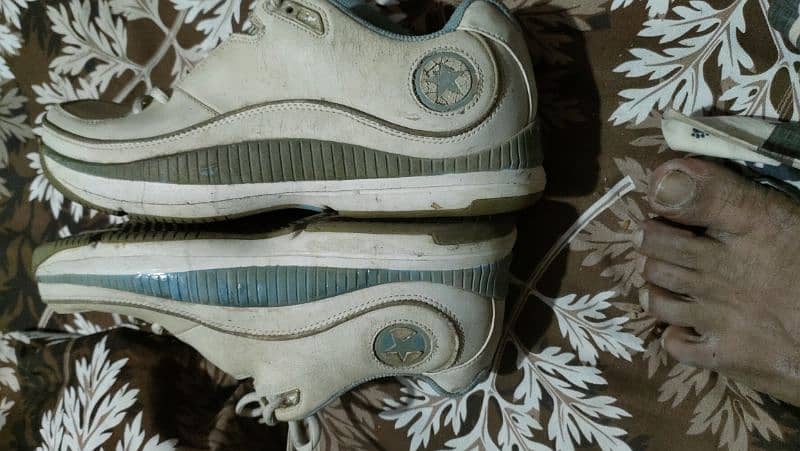 sports shoes 2