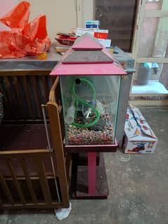 Aquarium with complete accessories