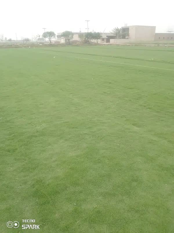 Natural korean grass / american grass / artificial grass / fine grass 1