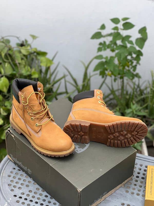 Timberland shoes 11