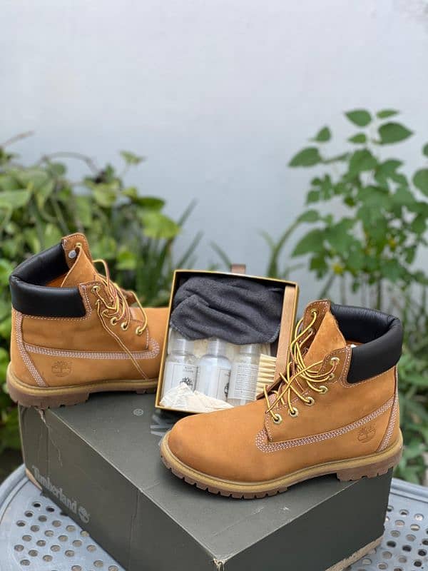 Timberland shoes 12