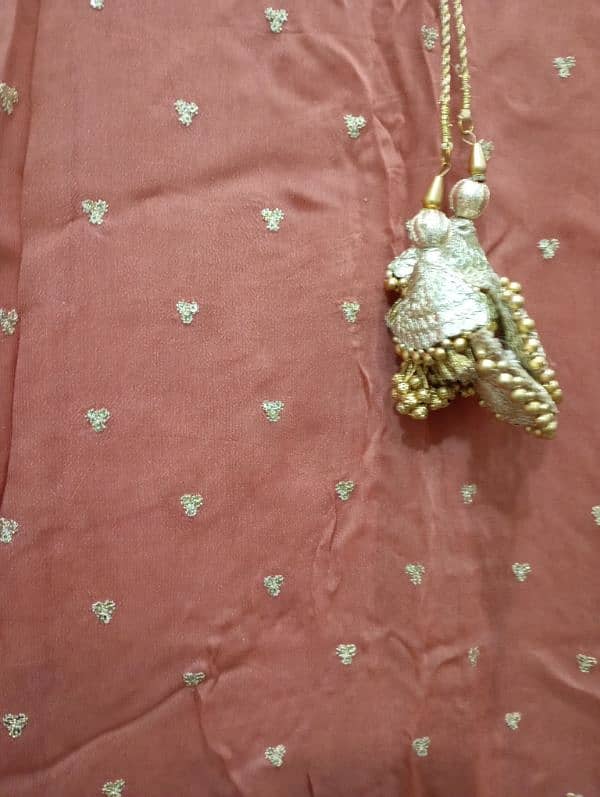 long shirt with crushed sharara and multicoloured dupatta 2