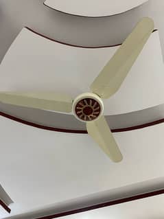 Decent 56” Ceiling Fans