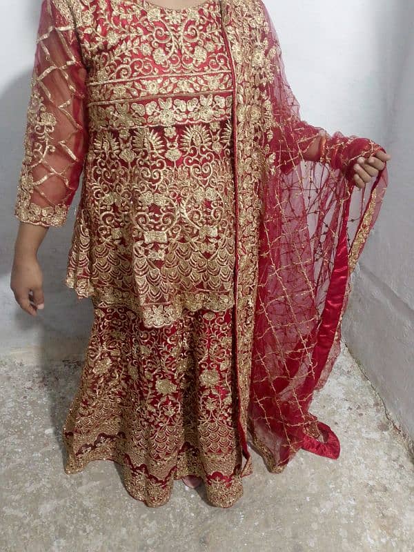 new with can can free 0