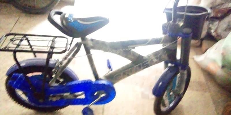 Brand New bicycle For Sale 2