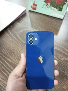 iPhone 12