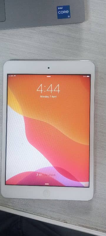 Apple iPad 0