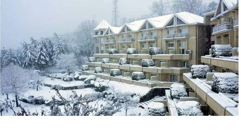 Ready To Move Studio Flat For Sale In Murree Oaks 1
