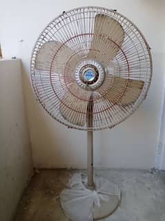 Pedestal fan for sale