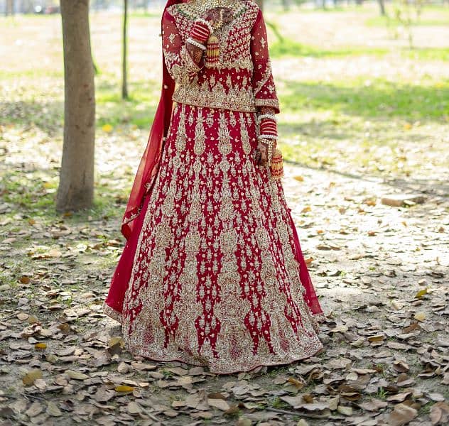 Bridal Barat Lengha Sharp REd 0