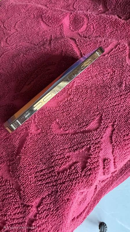 iPhone 12 Pro 128gb Gold PTA Approved 2