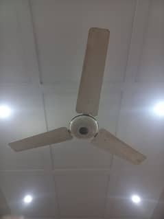 Ceiling