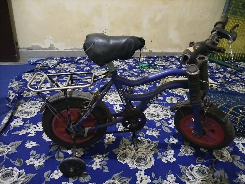 Baby Cycle 0