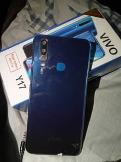 VIVO