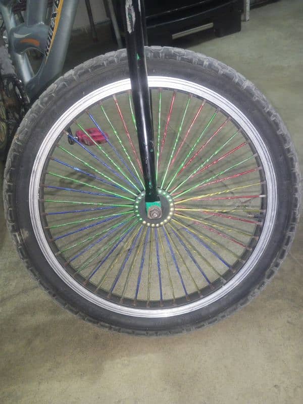 Rolex Cycle (20 Number Tyre) 3
