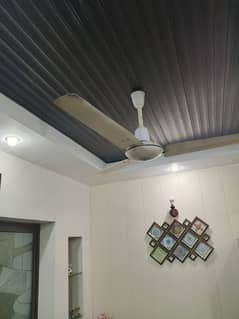 used