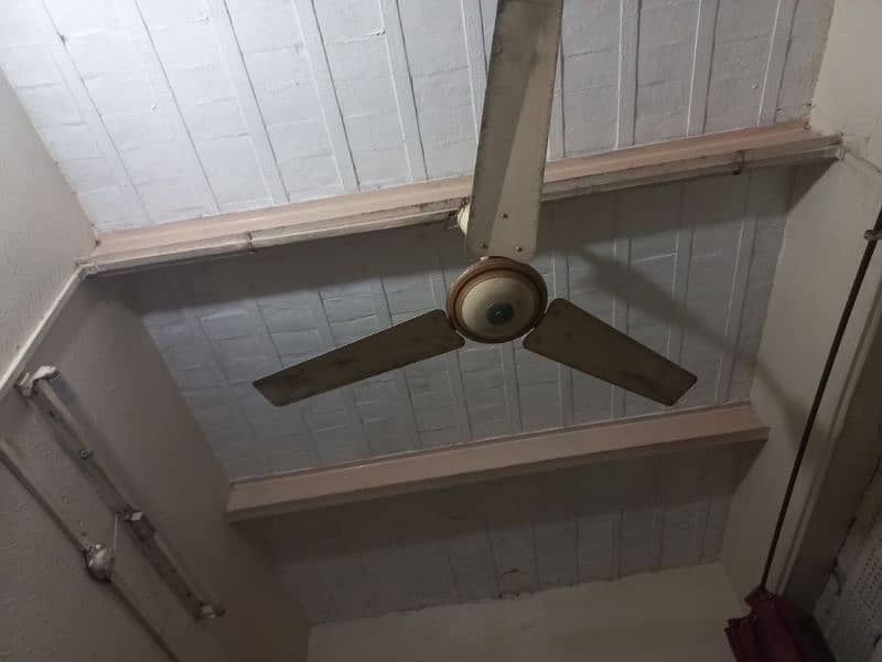 2 celling fans 9000 0