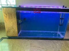 3 feet aquarium for sale with all accessories