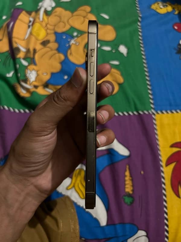 12 pro max 128 gb unlock 6