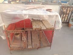 Cage For Sale . 03465399842