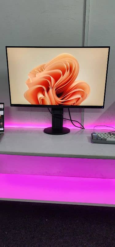 NEC Japan 27inch 2K IPS 10bit Colors USB-C Monitor 1