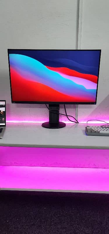 NEC Japan 27inch 2K IPS 10bit Colors USB-C Monitor 3