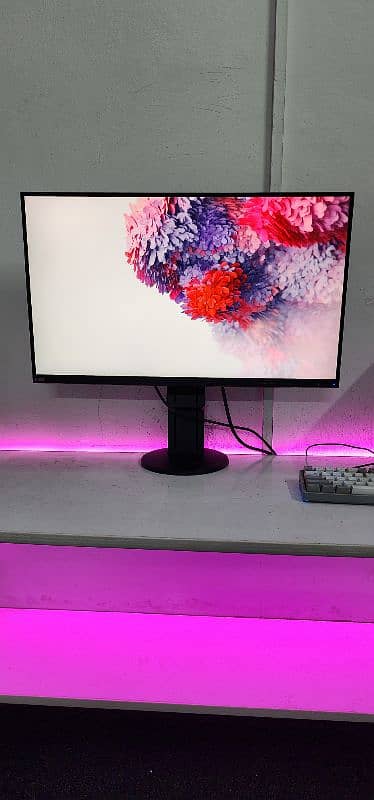 NEC Japan 27inch 2K IPS 10bit Colors USB-C Monitor 0