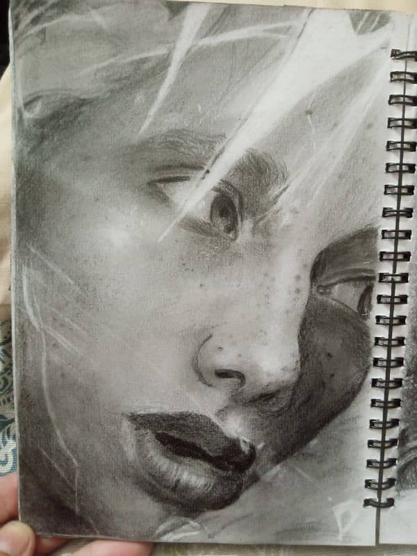 potraits 8