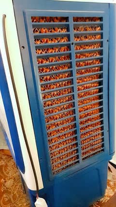 Air Cooler 12V DC/AC