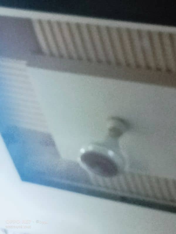 Royal Ceiling fans for sale 1