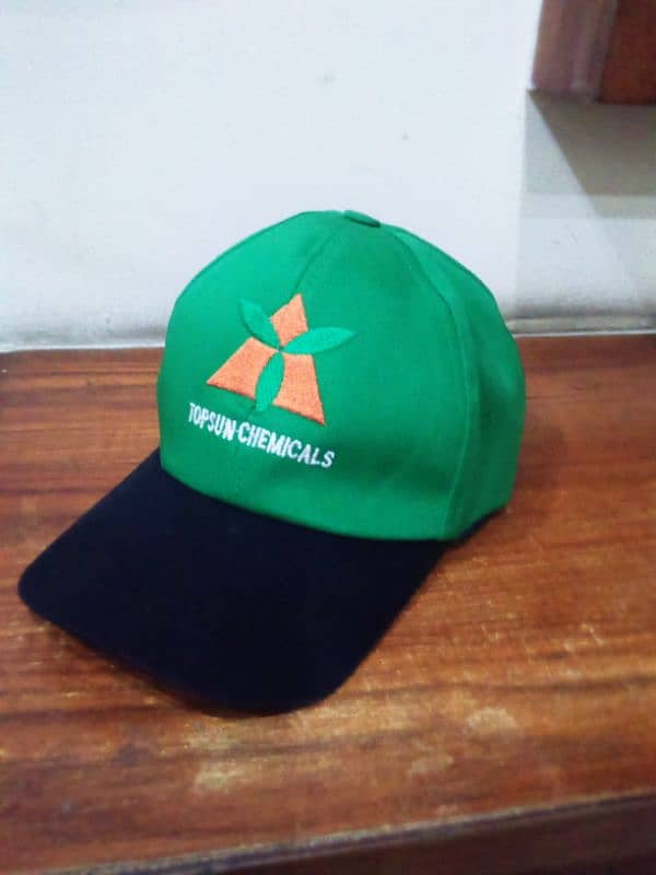 Caps T shirts printing with your Logo 5