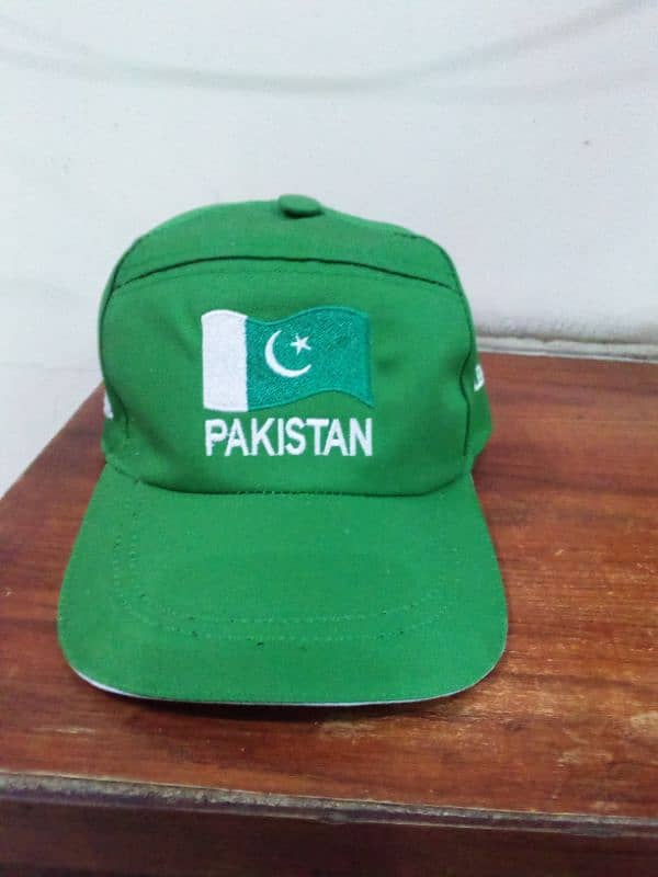 Caps T shirts printing with your Logo 7