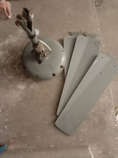 Ceiling Fan