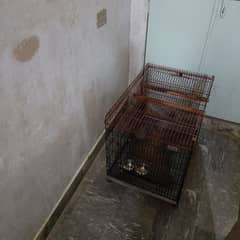 cage For Sale 3ft lambai 2.5ft unchai 2ft chorahi