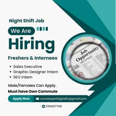 Telesales Agents (Night Shift)