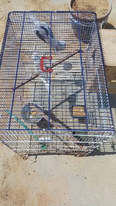 Cages