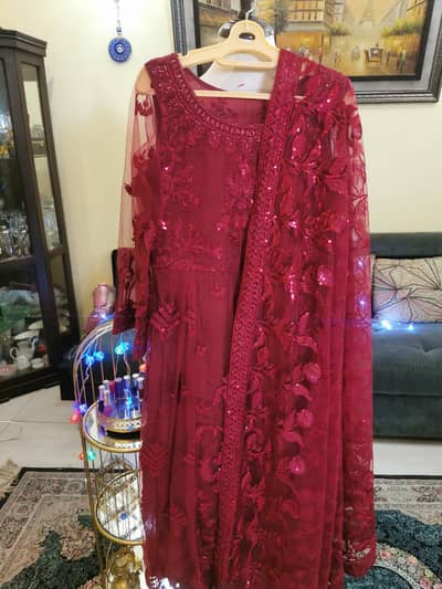 Net embroidered chiffon dress