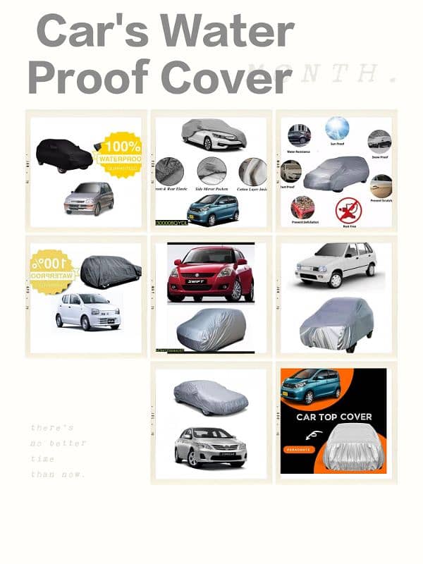 Car Polish & Cover 1