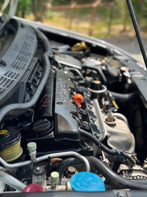 Honda Civic Prosmetic 2012 6