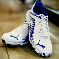 PUMA