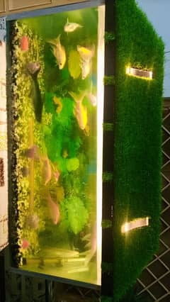large size aquarium with fishes and pump
