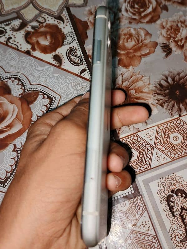 iPhone 11 White Color 2