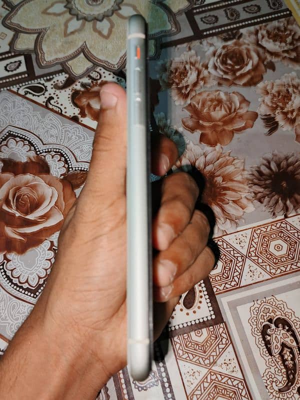 iPhone 11 White Color 3