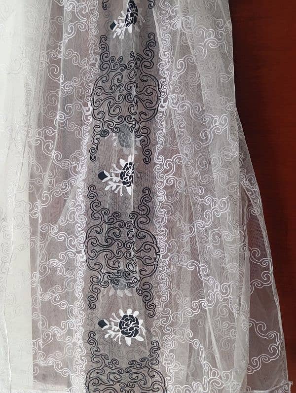 Net shirt with dupatta 3