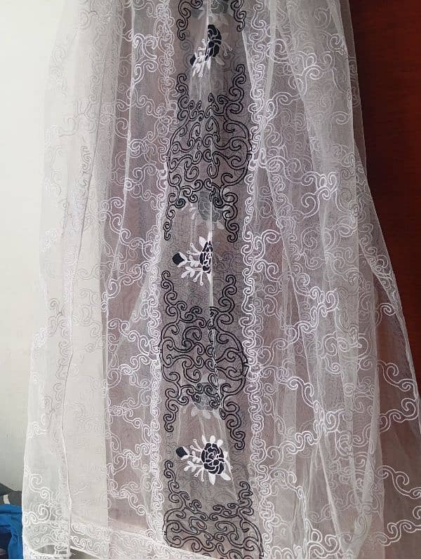 Net shirt with dupatta 5