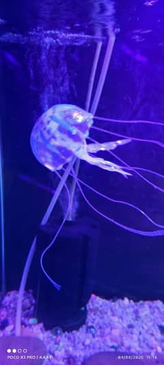 Silicone Jellyfish for Aquarium, Artificial Fish Tank Decoration