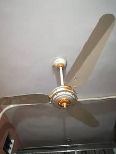 Chinab Fan