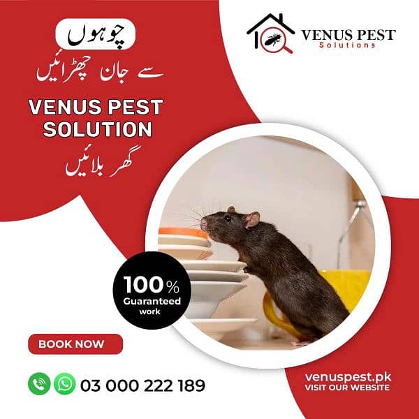 Termite control/Mosquitoe Spray/Dengue spray/Rat kille/Coacroches 3