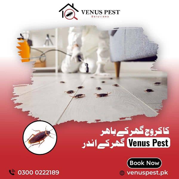 Termite control/Mosquitoe Spray/Dengue spray/Rat kille/Coacroches 4